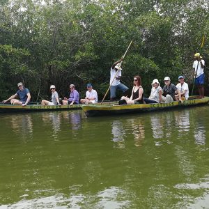 Tour Manglares de la boquilla cartagena
