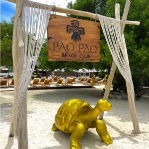 PAO PAO