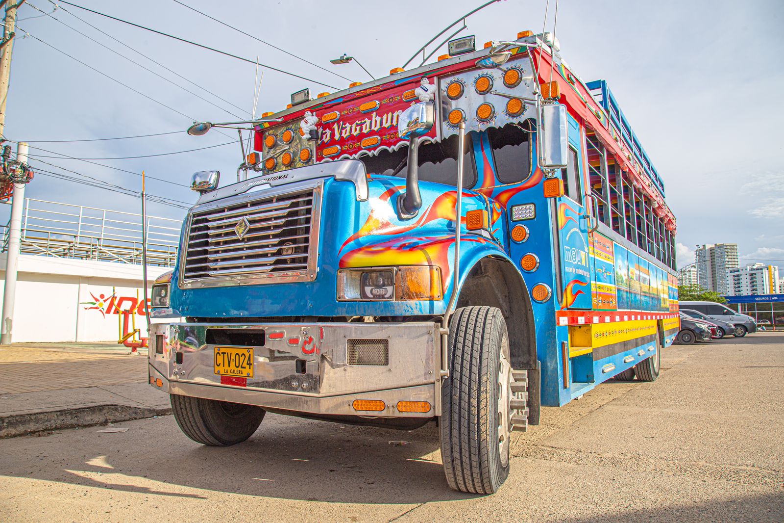 CHIVA RUMBERA TRADICIONAL - Imagen 2