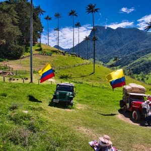 VALLE DEL COCORA