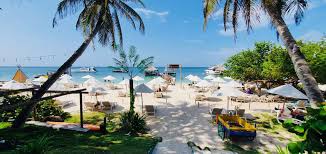 ISLA LUXURY BEACH (ÁREA CLUB) - Imagen 2