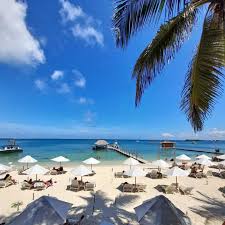 ISLA LUXURY BEACH (ÁREA CLUB) - Imagen 3