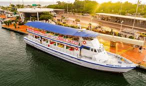 NOCHE BLANCA (BEQUIA EAGLE) - Imagen 5
